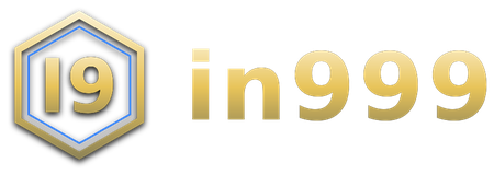 in999 logo